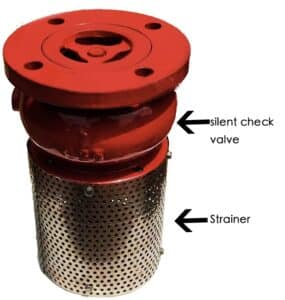 foot valve with strainer