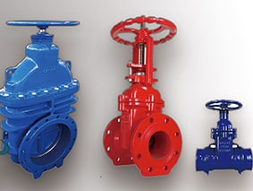 gate valve