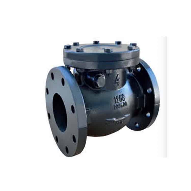 AWWA swing check valve