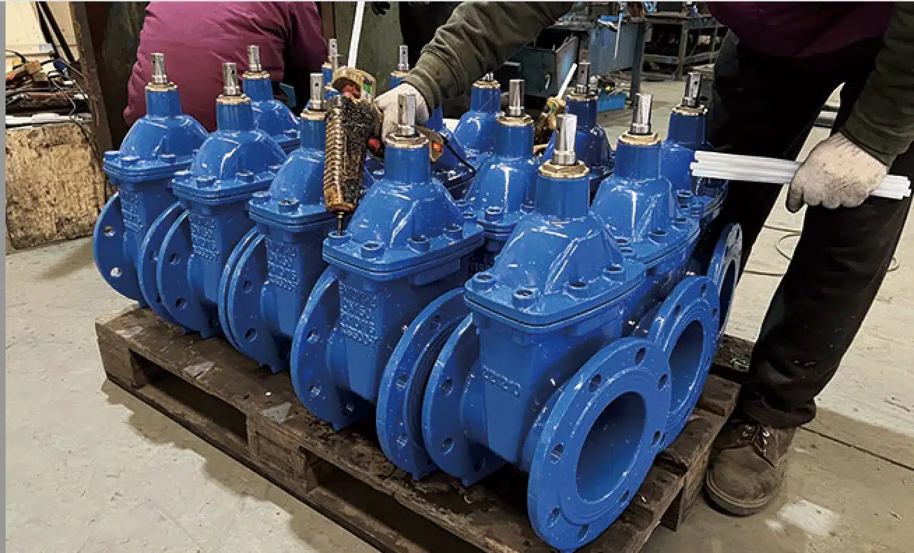 gate valve
