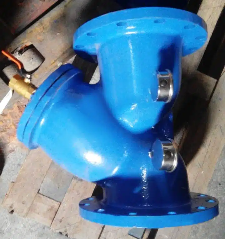 y strainer with blow down valve