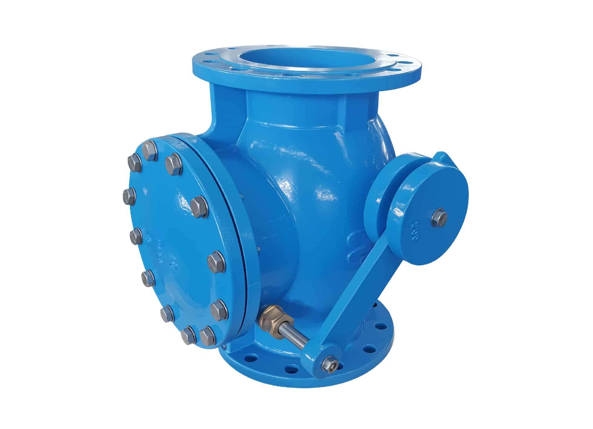 swing check valve 1