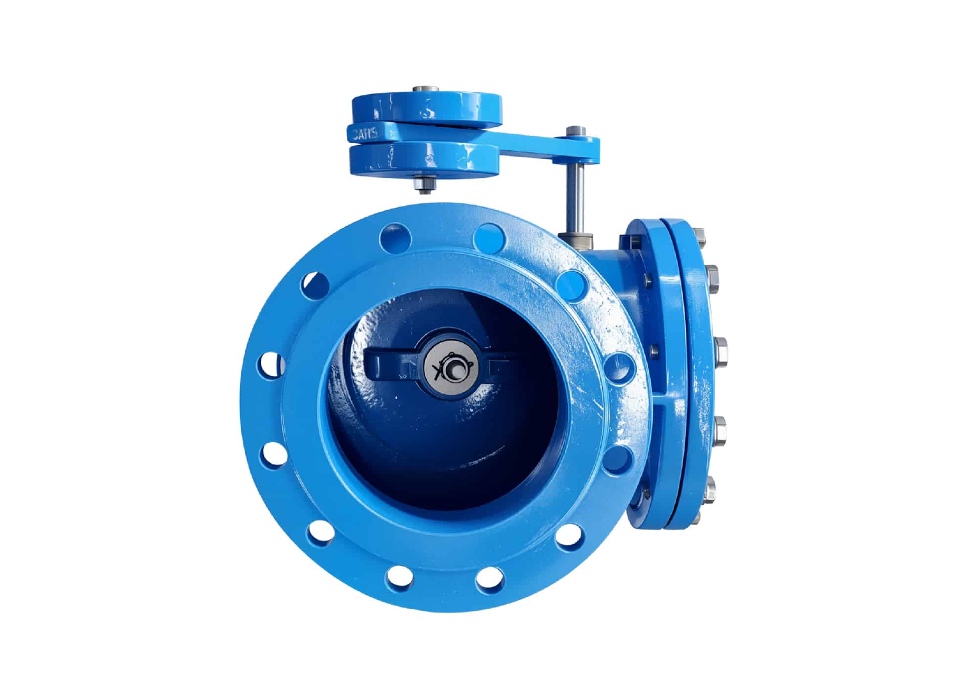 swing check valve