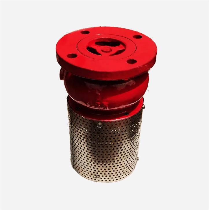 Foot Valve