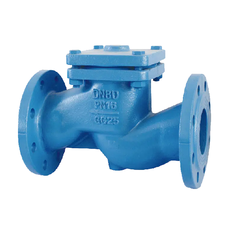 LIFT CHECK VALVE