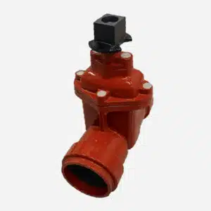 Push Fit AWWA Gate Valve