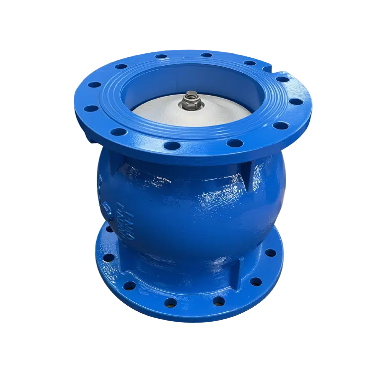 SPRING CHECK VALVE