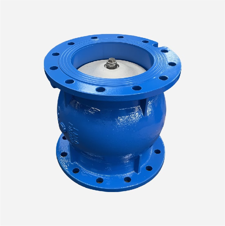 Silent Check Valve