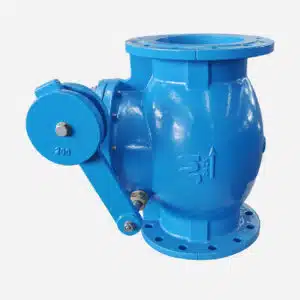 Swing Check Valve