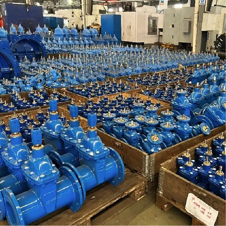 gate valve