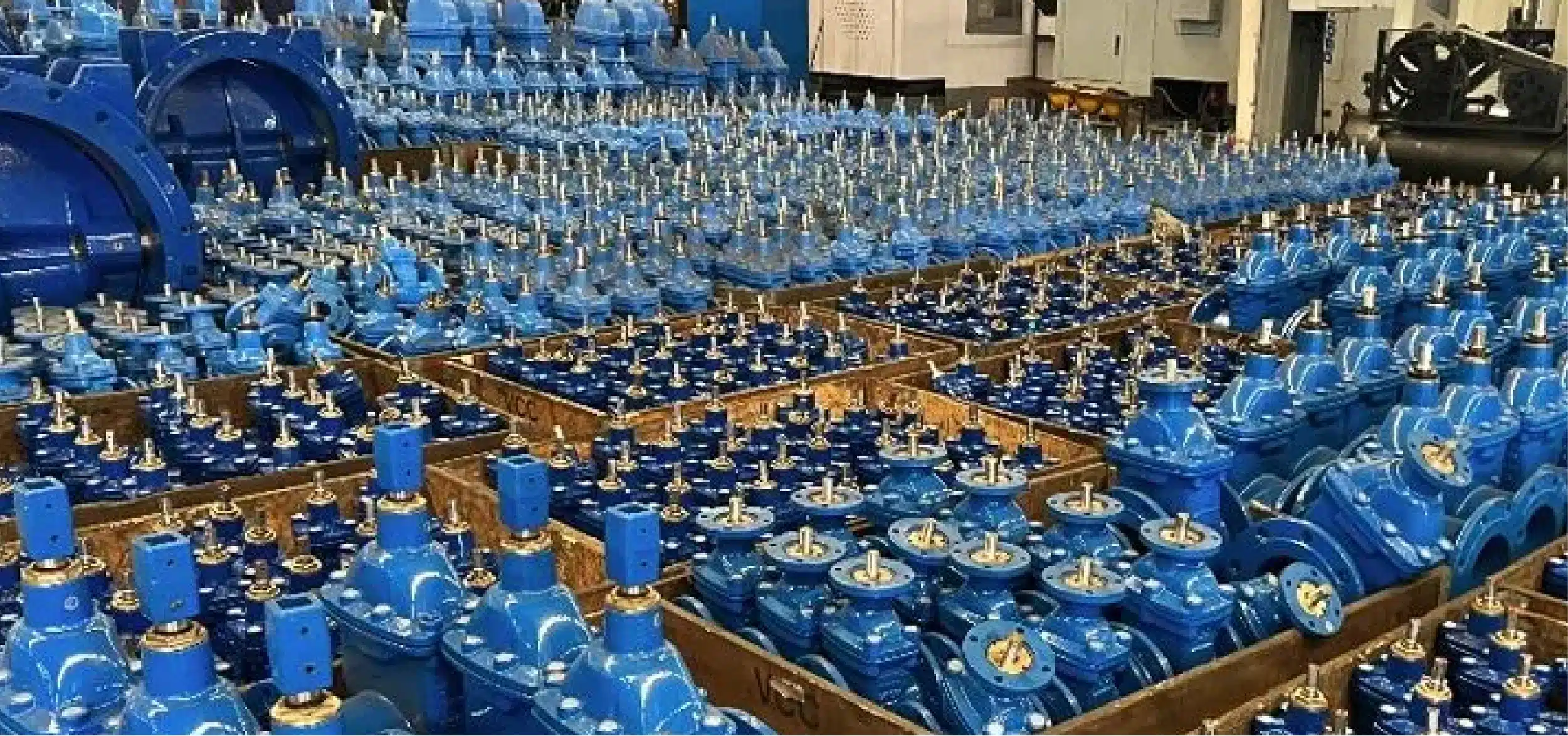 gate valve