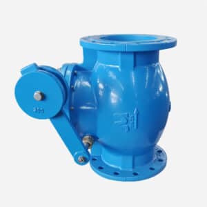 swing check valve