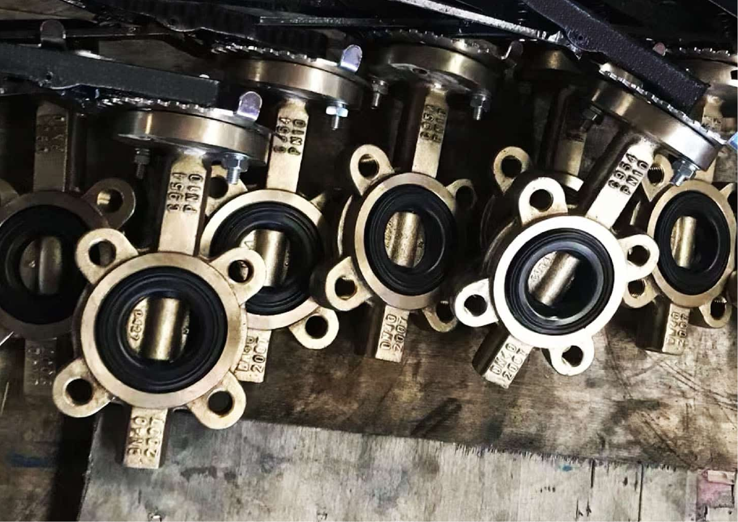 BrassBronze Lug Type Butterfly Valve