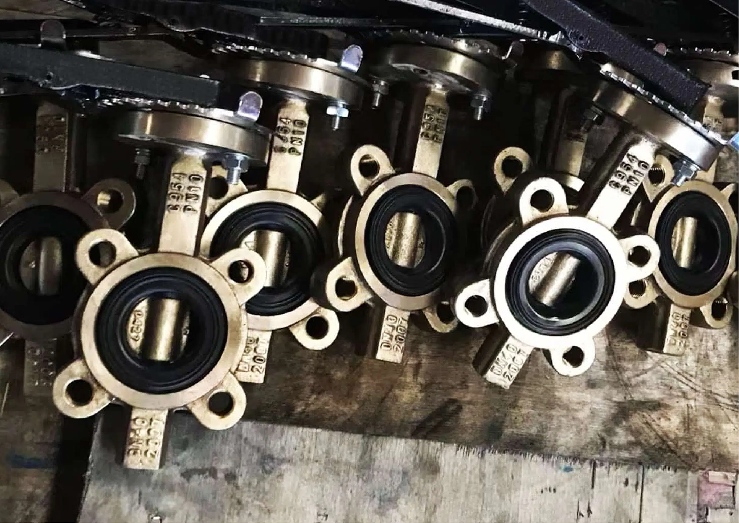 BrassBronze Lug Type Butterfly Valve