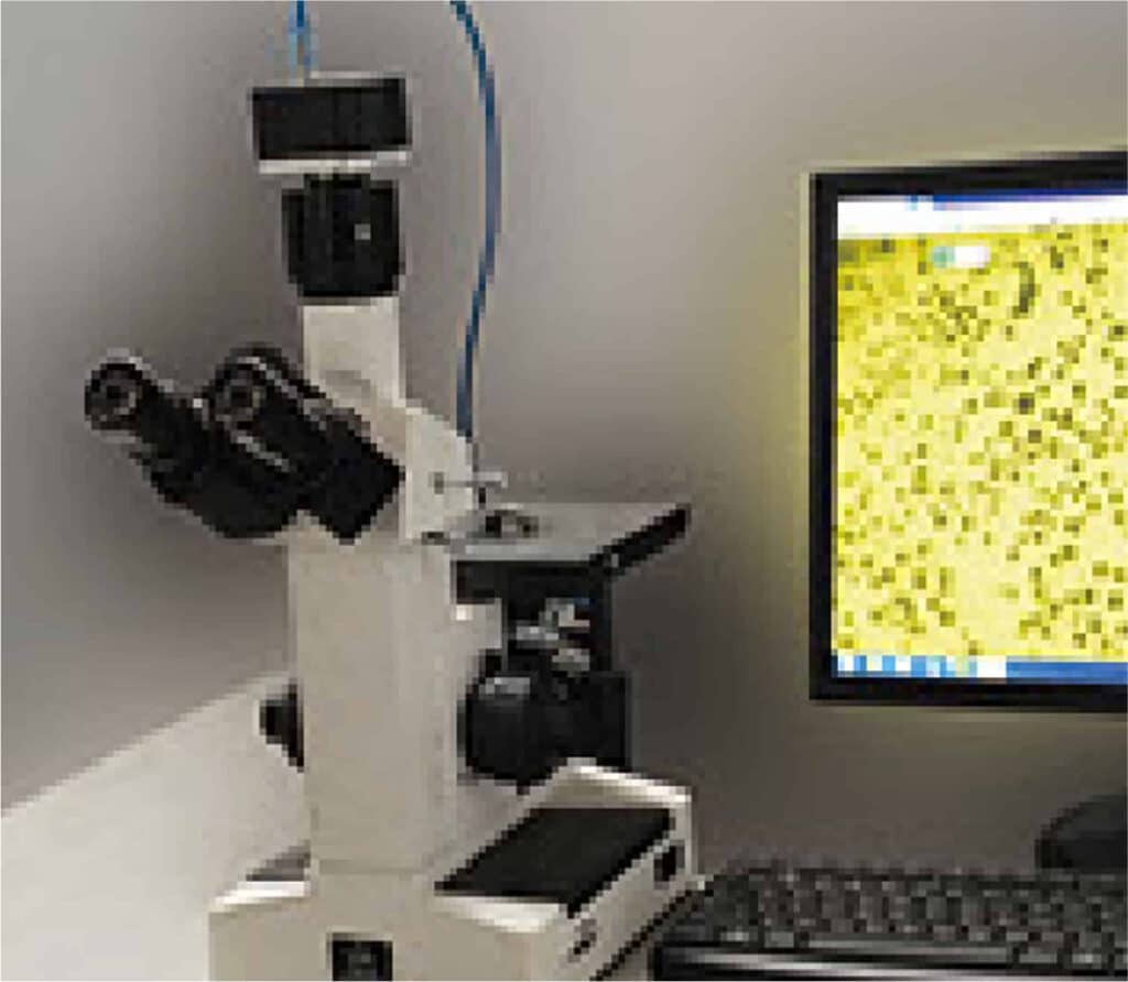 Chemical composition analysis