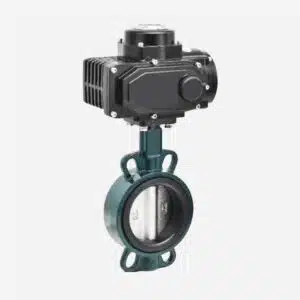 Wafer butterfly valve