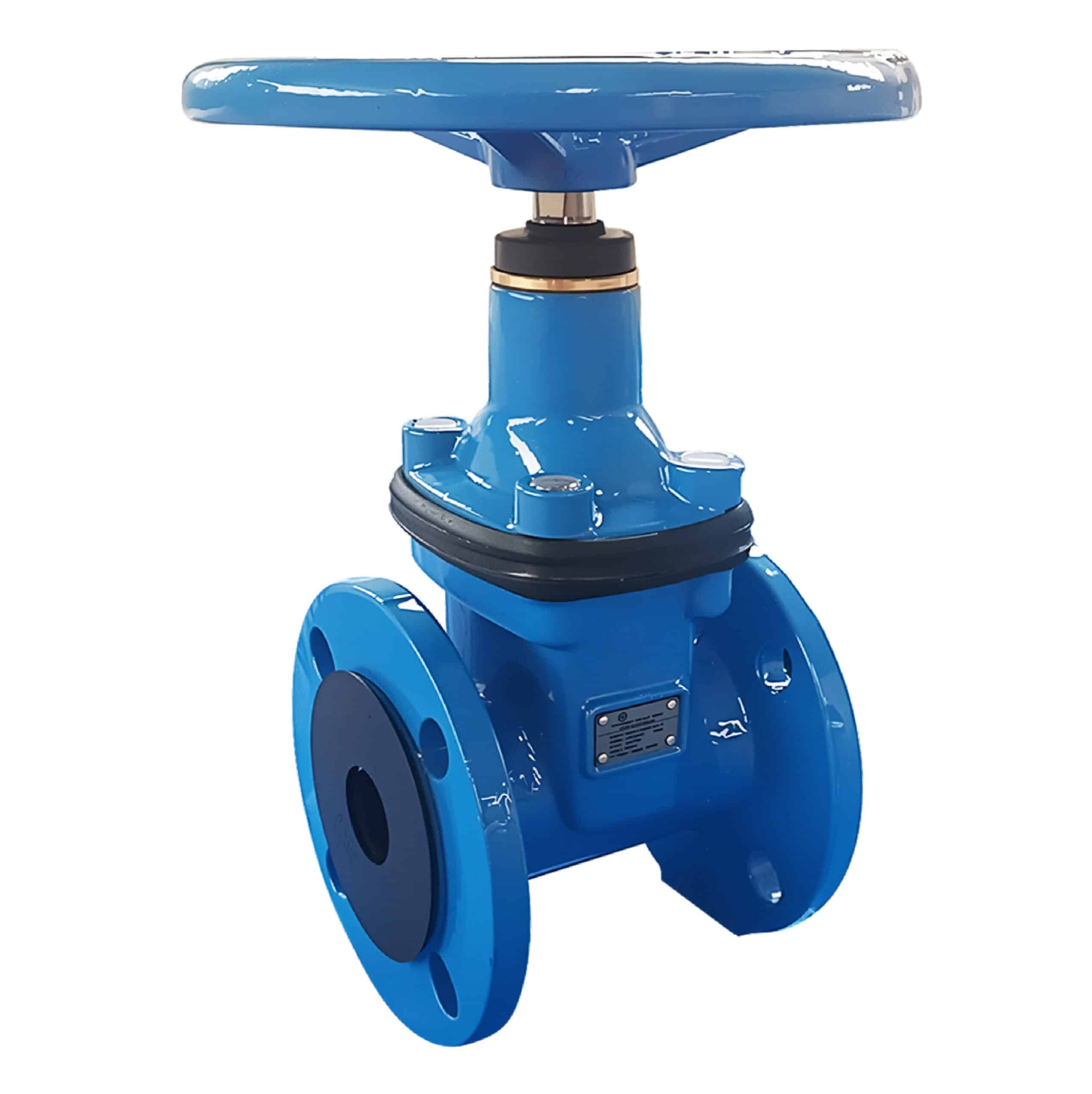 resilient seated gate valve