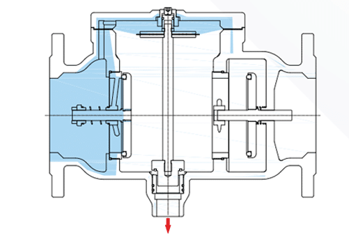 Reduced Pressure Backflow Preventer